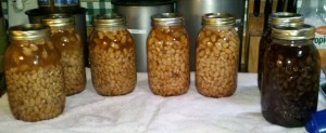 Another Hatchett Job blog, canning, frugal life, pinto beans, black beans,